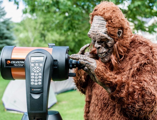 a man in a Bigfoot costume tries to look through a telescope.